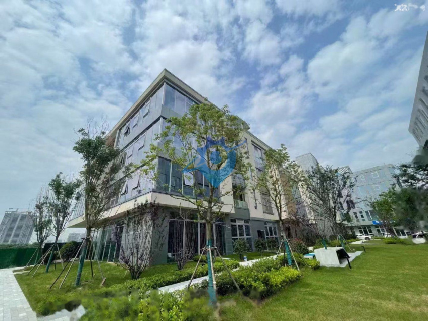 年底2年免租 地铁口优质独栋 1000-5000㎡ 品牌物业 可租可售 停车免