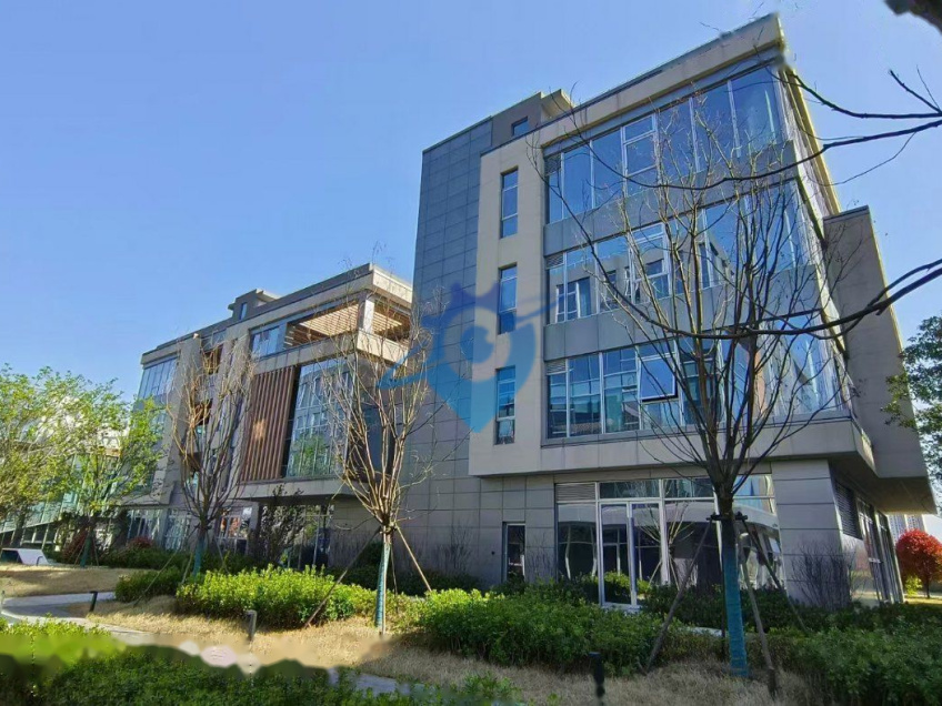 2年免租 0停车地铁口优质花园独栋1000㎡ 全新现房 可租可售