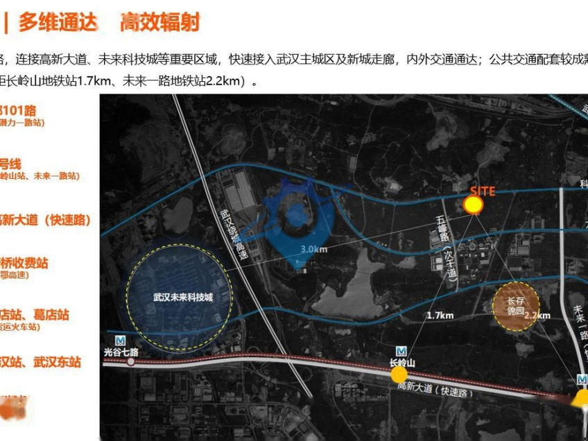 东湖高新三层独栋厂房出售
