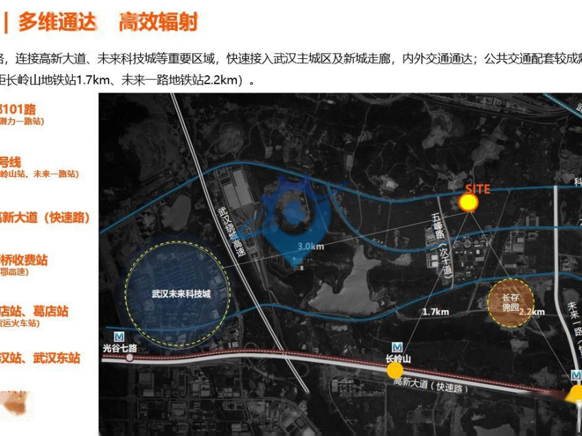 东湖高新三层独栋厂房 可定制