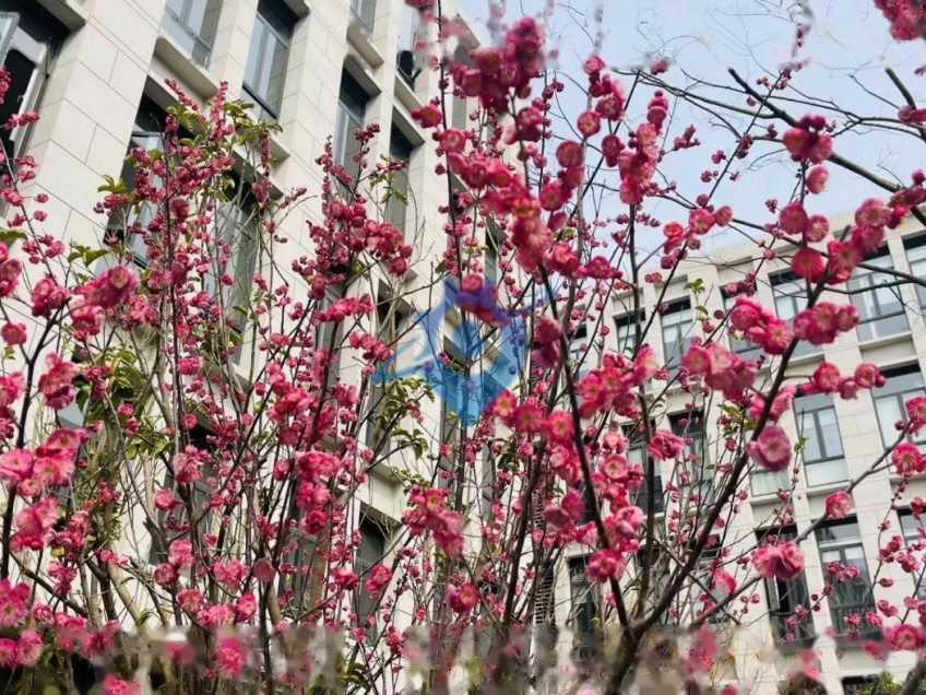 地铁口捡漏独栋花园厂房出售