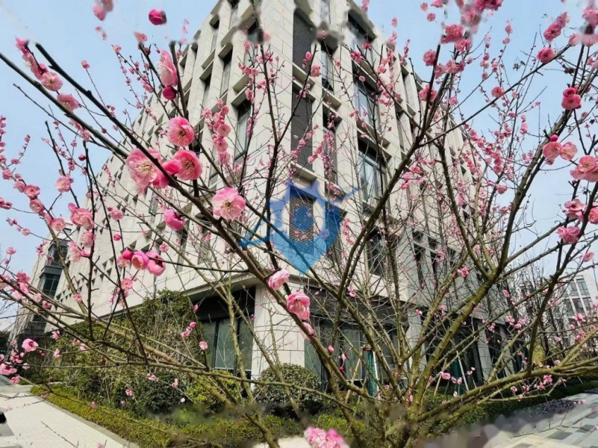地铁口捡漏独栋花园厂房出售