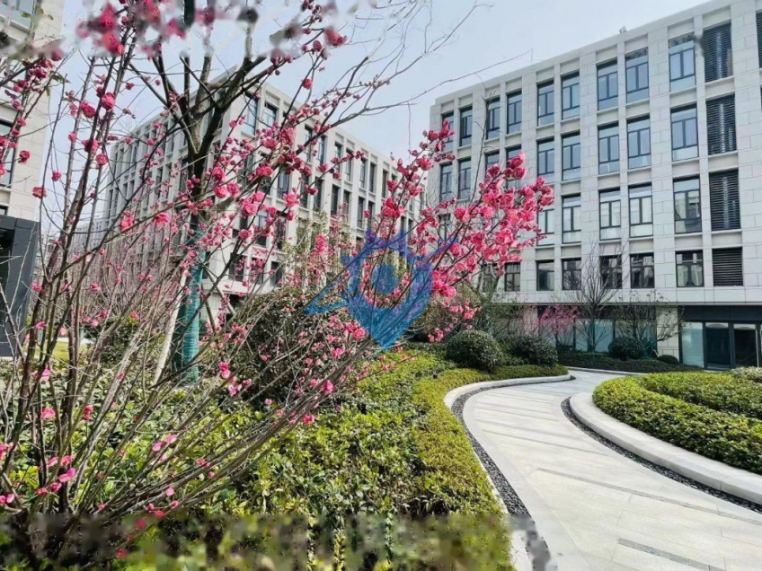 地铁口捡漏独栋花园厂房出售