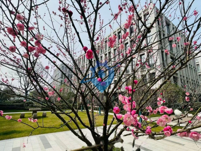 地铁口捡漏独栋花园厂房出售