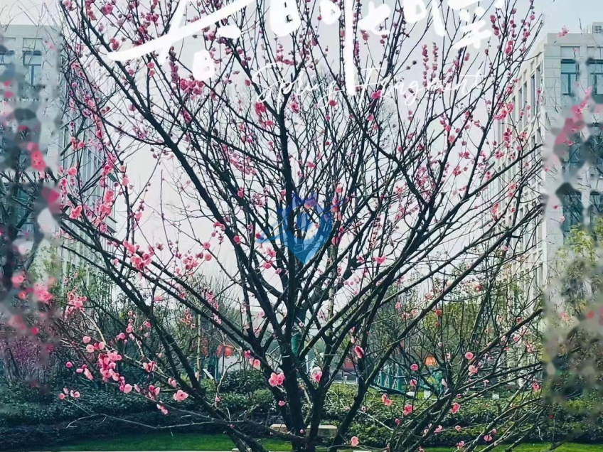 地铁口捡漏独栋花园厂房出售